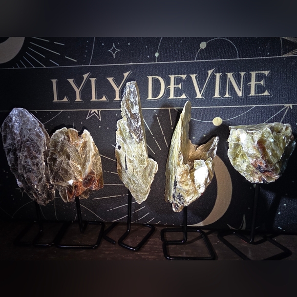 Meet your Posher, LylyDevine - Picture 2 of 2